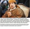 Analizując wszystkie fakty to Amerykanie sieją 
