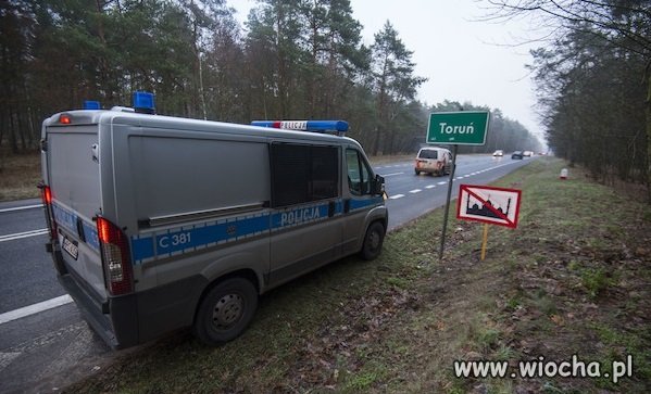 Toruń już się określił