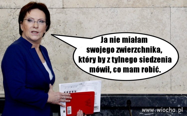 Kopacz u Lisa drwi z Beaty Szydło 