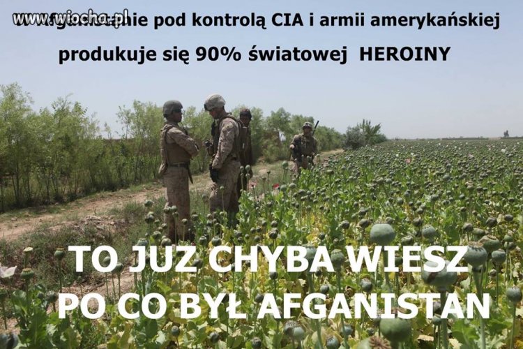 To nie żarty a rzeczywistość