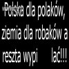 Dokładnie tak !