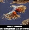 Unia Europejska w pigułce...