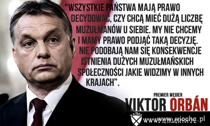 Wszystko w temacie