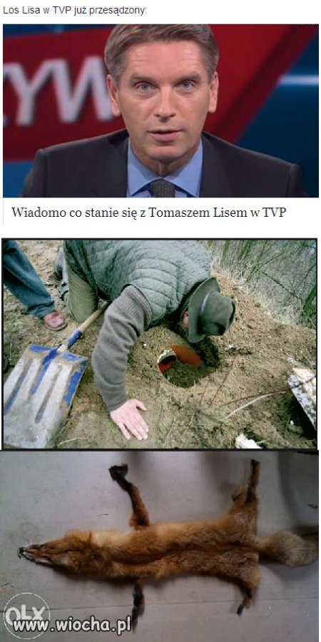 Los Lisa przesądzony.