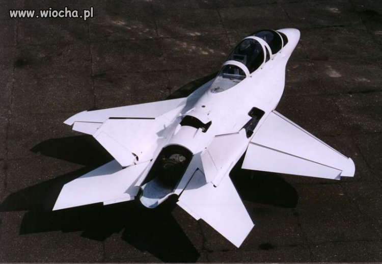 EM-10 Bielik Polski projekt, któremu ukręcono łeb