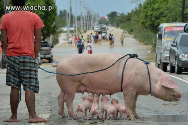 Przerwa na lunch.