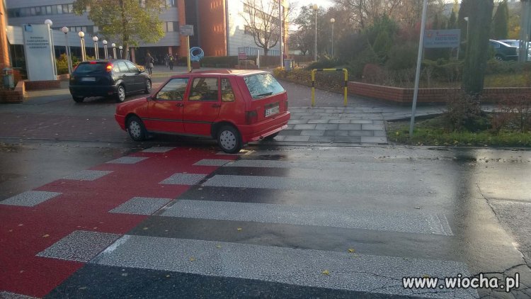 Mistrz parkowania Łódź  - UŁ WZ