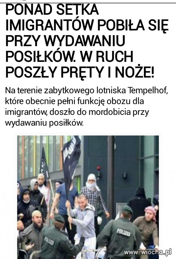 Jeszcze chwila i to bydło samo się pozabija.
