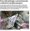 Syryjczyk czyli wg władz katolik