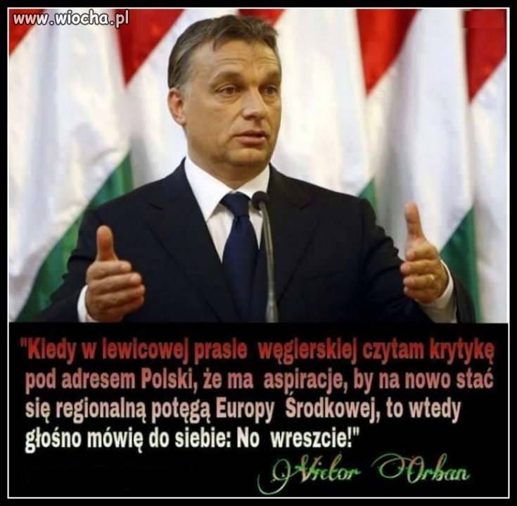 Czasem ma wrażenie, że Orban bardziej dba