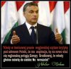 Czasem ma wrażenie, że Orban bardziej dba