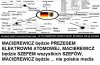 Tak widzę NIEPOLSKIE MEDIA? 