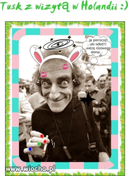 Tusk podczas wizyty w Holandii...