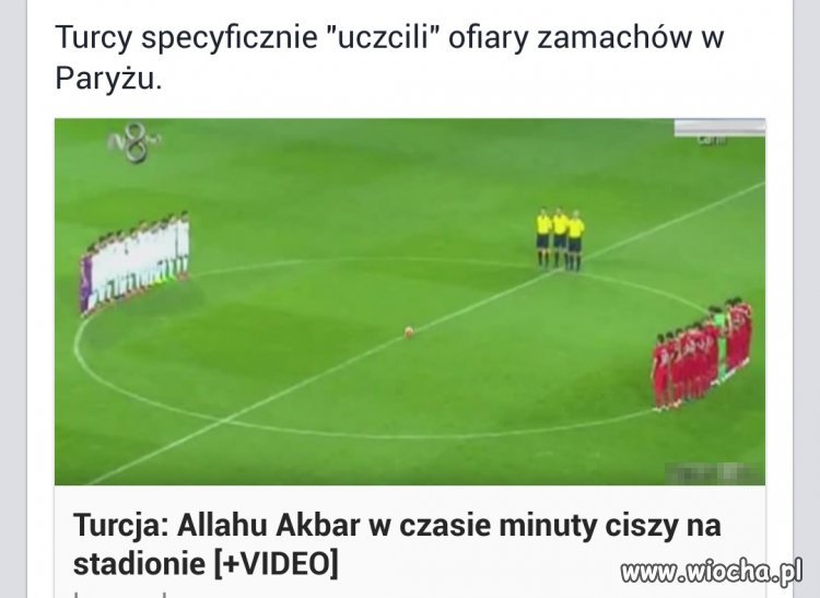 To bydło już się kultury nie nauczy.