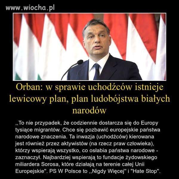 Wszyscy wiedzą