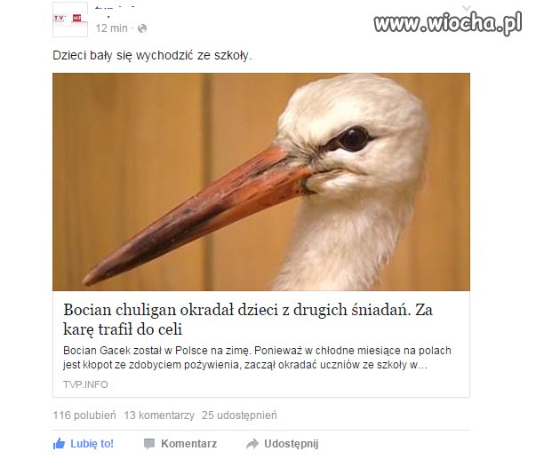 Groźni uchodzcy z Afryki okradaja polskie dzieci.