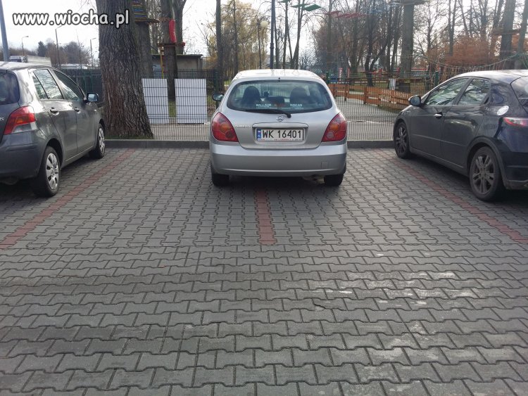 Warszawska święta krowa
