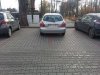 Warszawska święta krowa