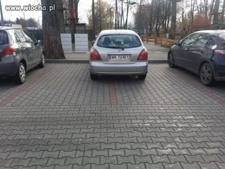 Warszawska święta krowa