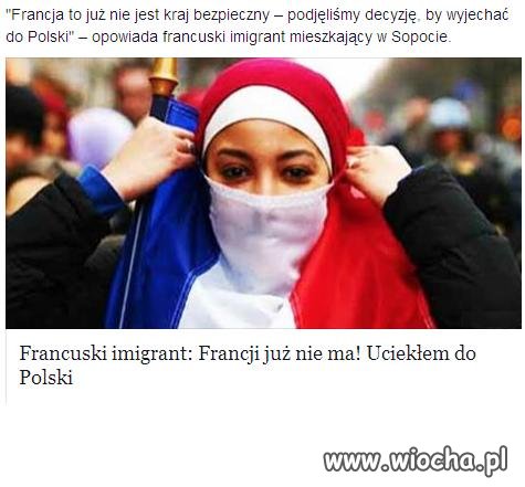 Zapraszamy !! Normalnych pracowitych imigrantów.