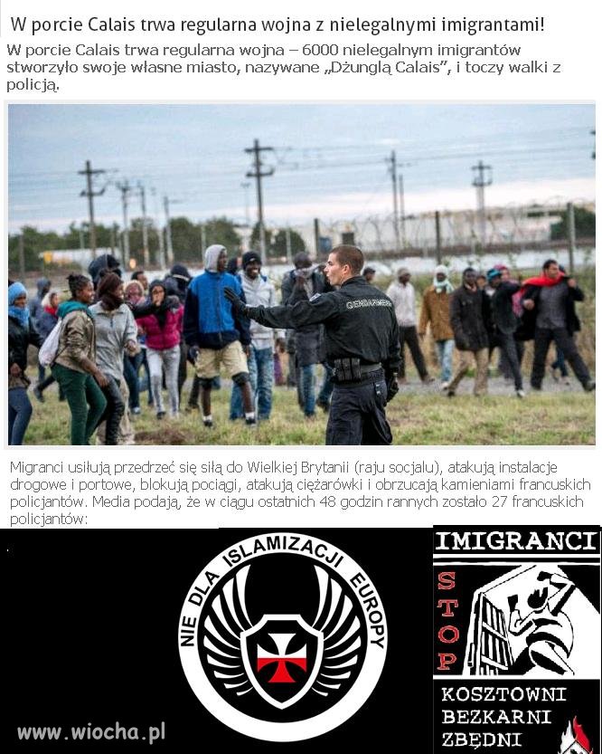 Czy tak wygląda to ubogacenie kulturowe? ...