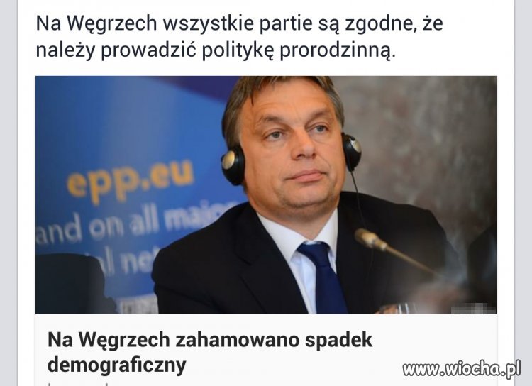 Bo do polityki trzeba mieć jaja .