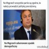Bo do polityki trzeba mieć jaja .