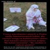 Czesi...