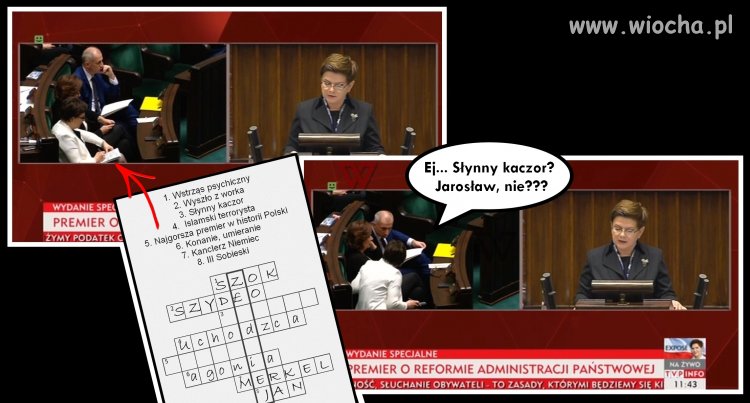 Kopaczka jak zwykle udawała, że "pracuje" 
