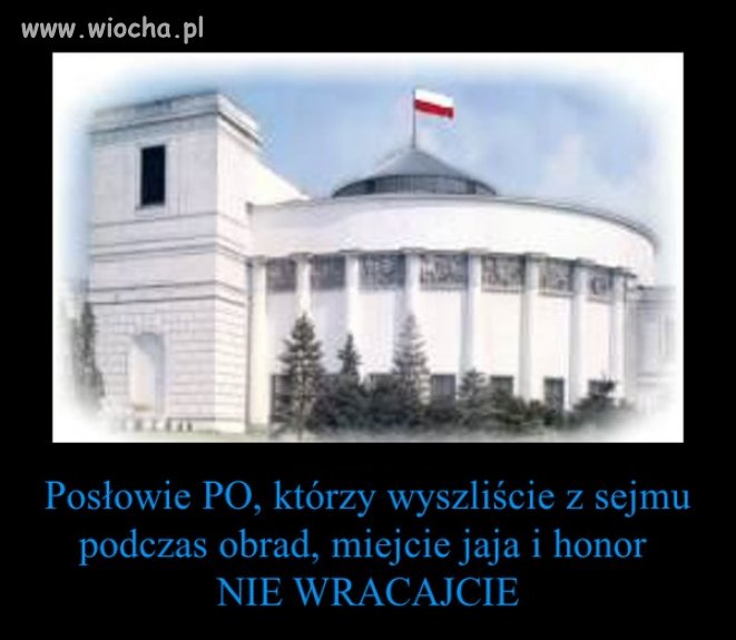 Apel do Patologii Obywatelskiej