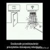 Priorytet dzisiejszej młodzieży.