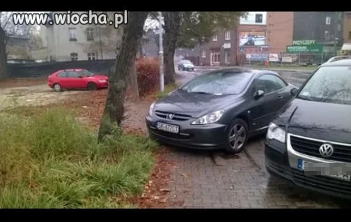 Tak się parkuje w Katowicach 