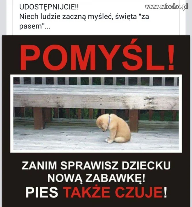 Pomyśl!!!