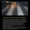 Jedna zasada.