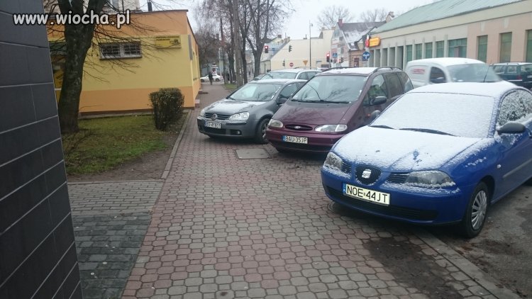 Mistrz parkowania