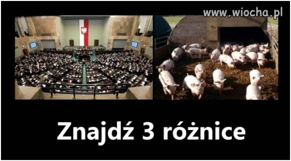 Znajdź różnice