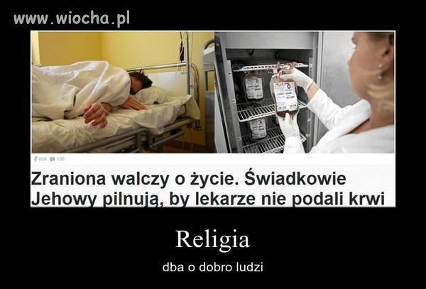 Ludzka głupota