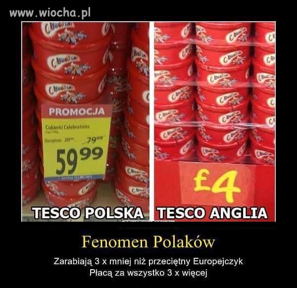 Fenomen Polaków 
