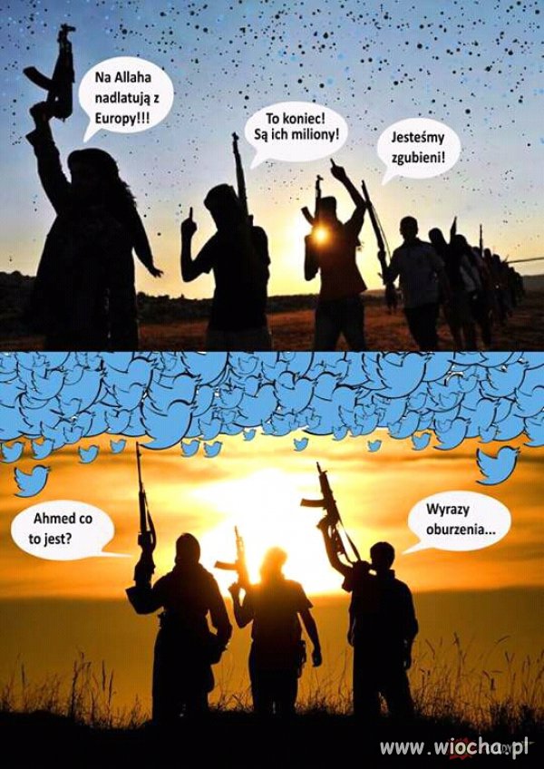 Europa i jej system obrony względem terroryzmu.
