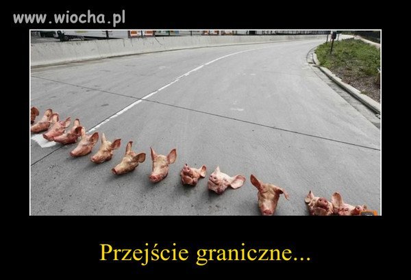 Zamiast Schengen