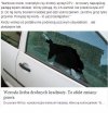 W Polsce najlepszy zawód to złodziej.