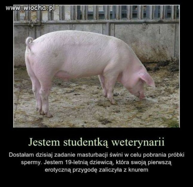 Przygoda pewnej studentki.