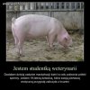 Przygoda pewnej studentki.