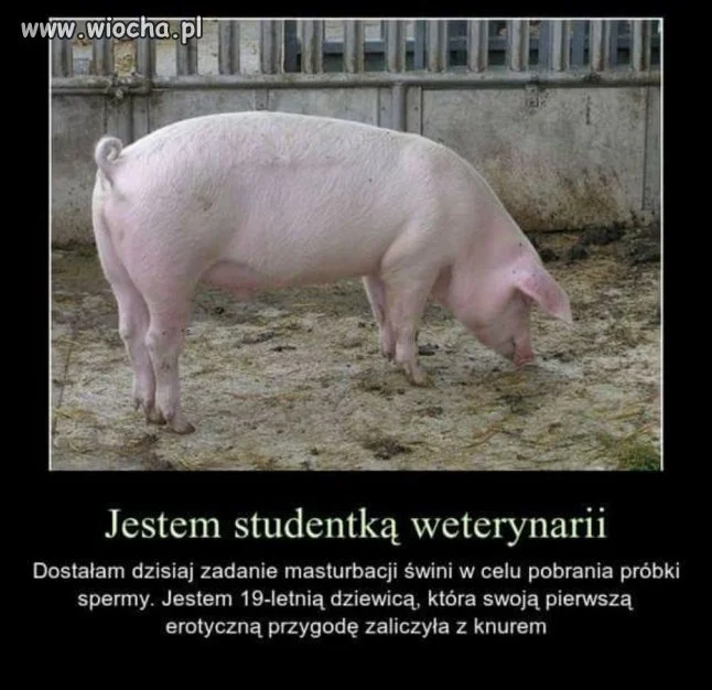 Przygoda pewnej studentki.