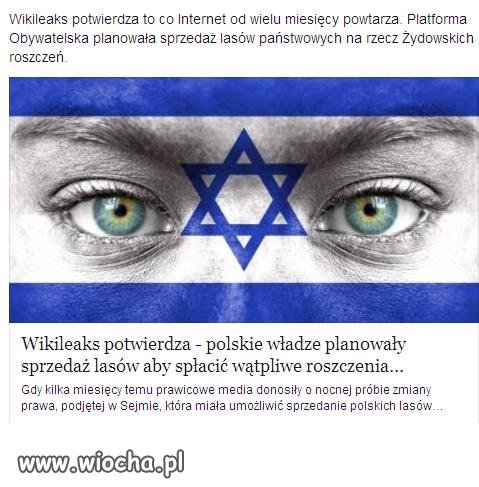Wikileaks potwierdza PO chciała sprzedać lasy.