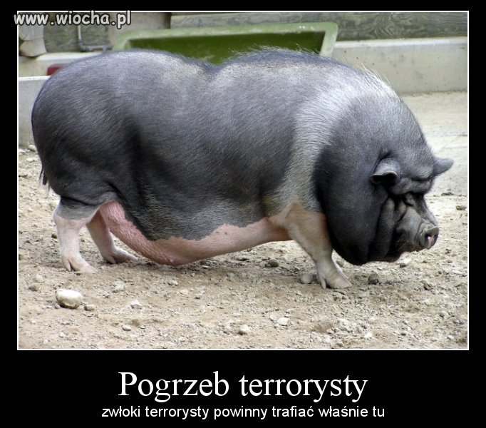 Cmentarz terrorysty
