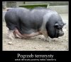 Cmentarz terrorysty
