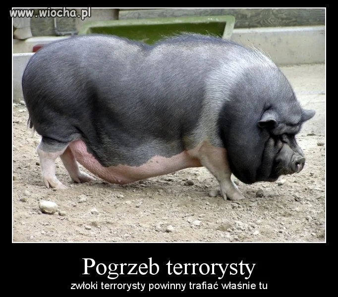 Cmentarz terrorysty