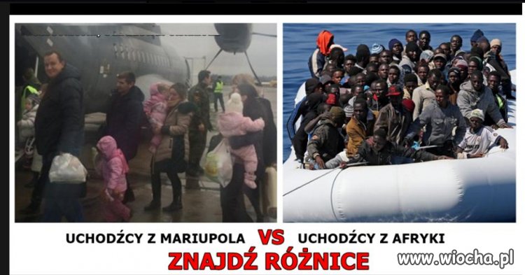 Z cyklu znajdź różnicę.