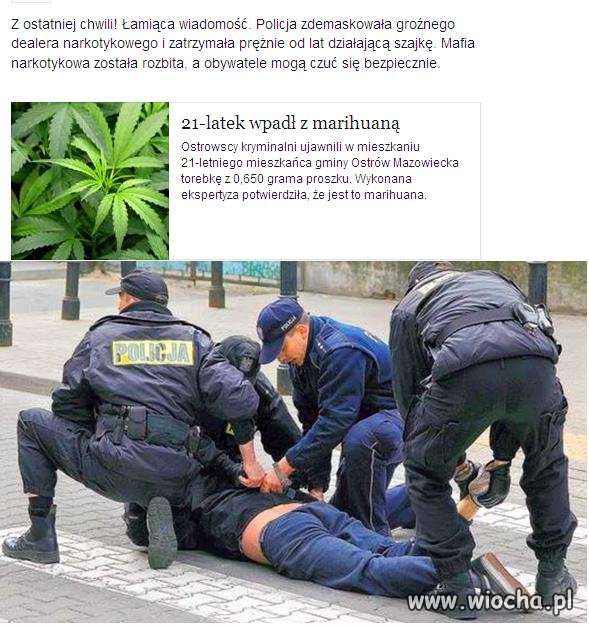Mafia narkotykowa została rozbita.